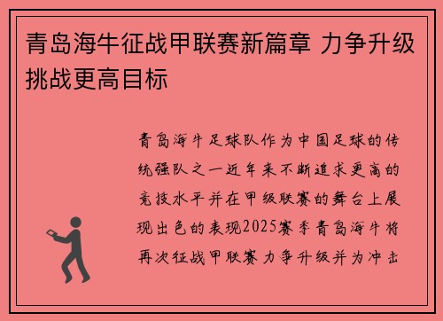 青岛海牛征战甲联赛新篇章 力争升级挑战更高目标